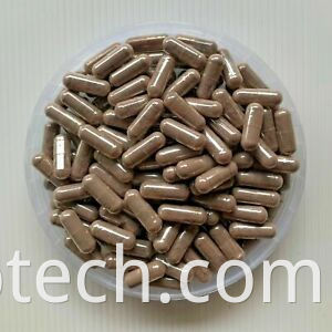 Andrographis Paniculata Extract Powder